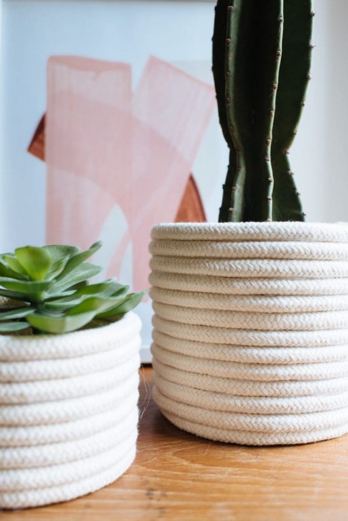 Close up of planters